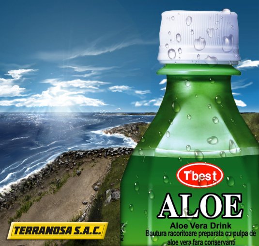 Bebida Natural de Aloe Vera T'Best